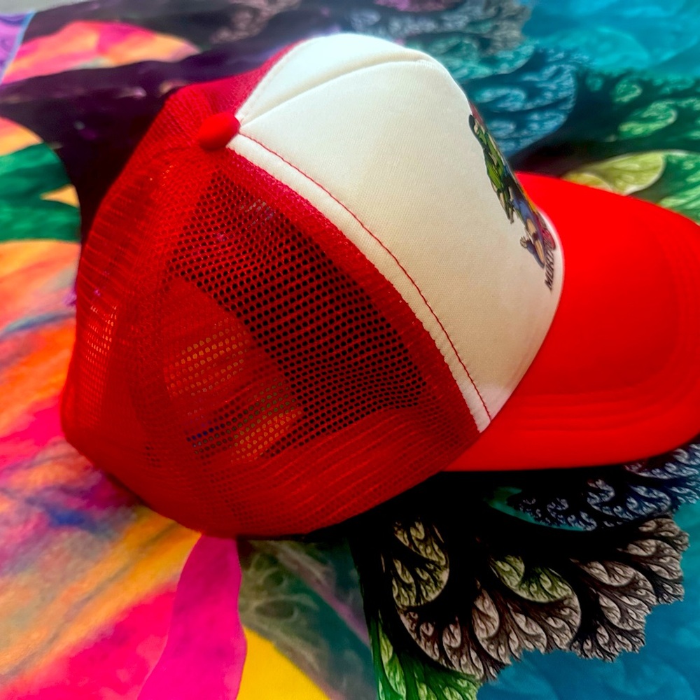 Mortal Kombat Hat View 4